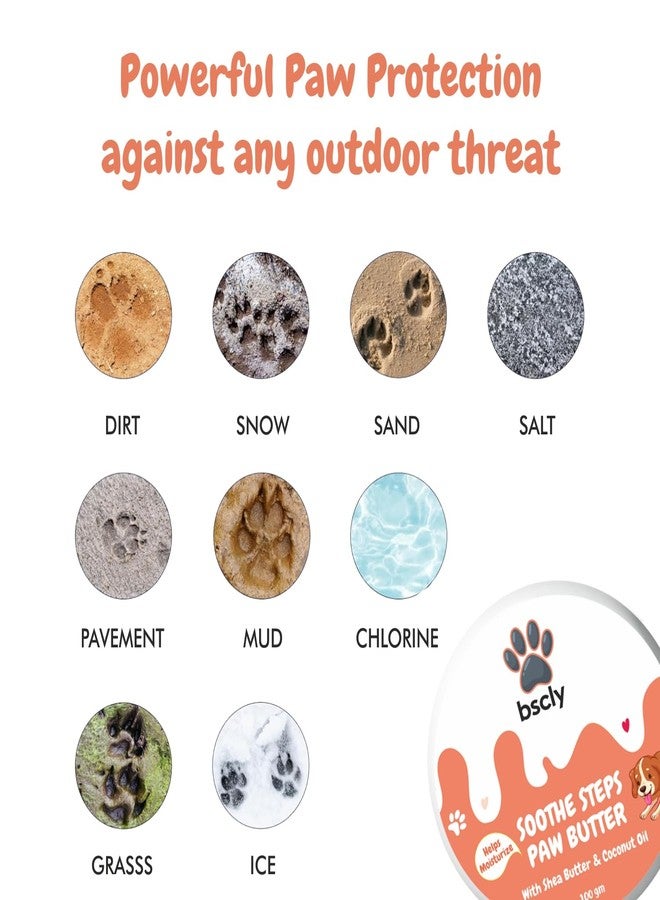 هارودز زبدة بي إس سي إل واي الطبيعية للكلاب والقطط | بلسم آمن للكلاب والقطط للتشققات وجفاف الكفوف والأنف | يعالج ويصلح ويرطب الكفوف والمرفقين والأنف الجاف والحكة (100 غرام) (عبوة واحدة) - Image 4